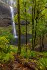 South Falls at Silver Falls State Park near Sublimity-Oregon-USA Art Print